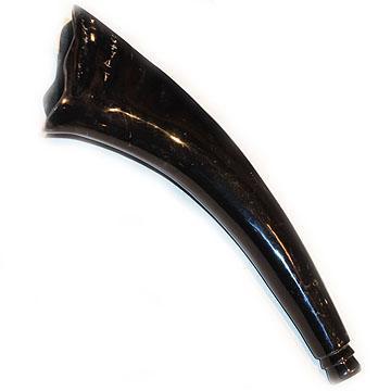 Horns Polished Buffalo Natural Horn Medium
